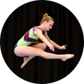 Gymnastics-tools-review-gymnast-coach